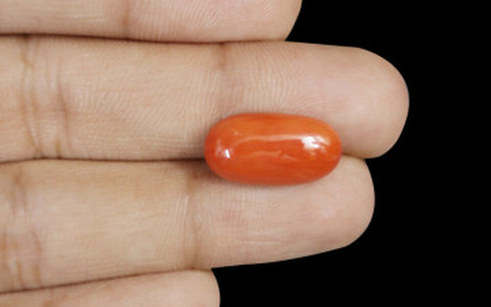 Red Coral - 7.48 Carat (8.27 Ratti - Moonga)