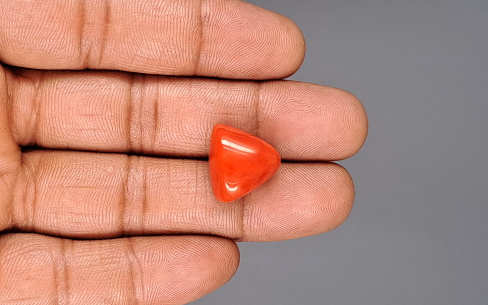 Red Coral - 16.63 Carat (18.38 Ratti - Moonga)