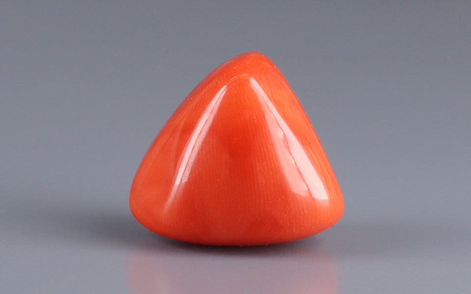 Italian Red Coral - 16.63 Carat Limited Quality TC-5004