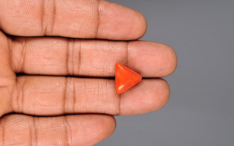 Italian Red Coral - 7.42 Carat Fine Quality TC-5009