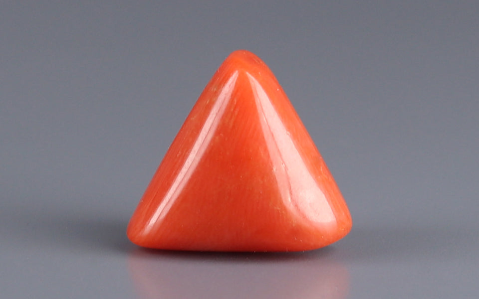 Italian Red Coral - 7.42 Carat Fine Quality TC-5009