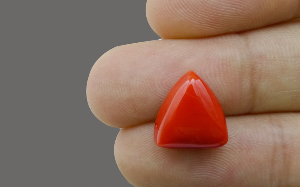 Italian Red Coral - 7.88 Carat Limited Quality TC-5014