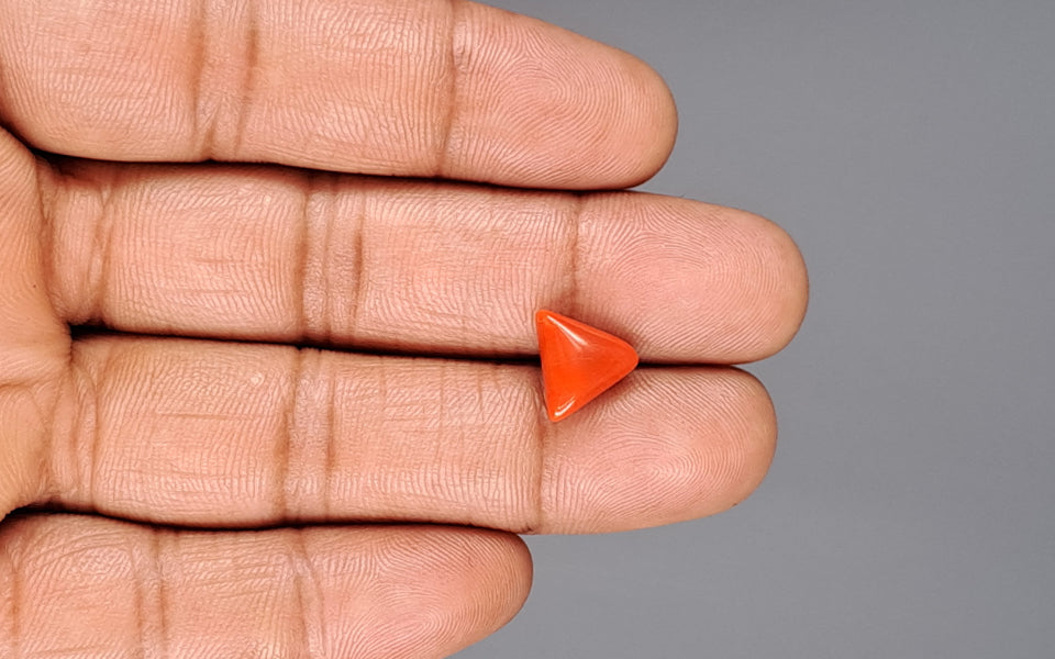 Italian Red Coral - 3.31 Carat Prime Quality TC-5033