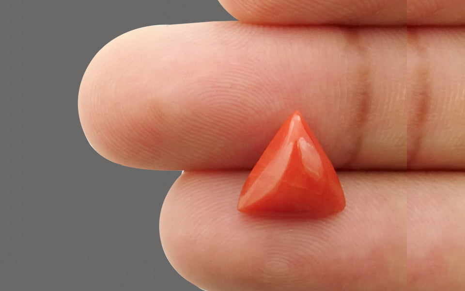 Italian Red Coral - 3.28 Carat Limited Quality TC-5038