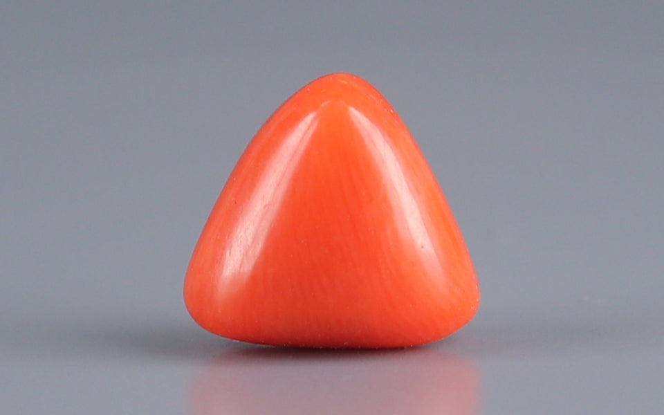 Italian Red Coral - 3.33 Carat Rare Quality TC-5046