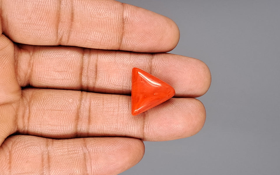 Italian Red Coral - 15.6 Carat Limited Quality TC-5062