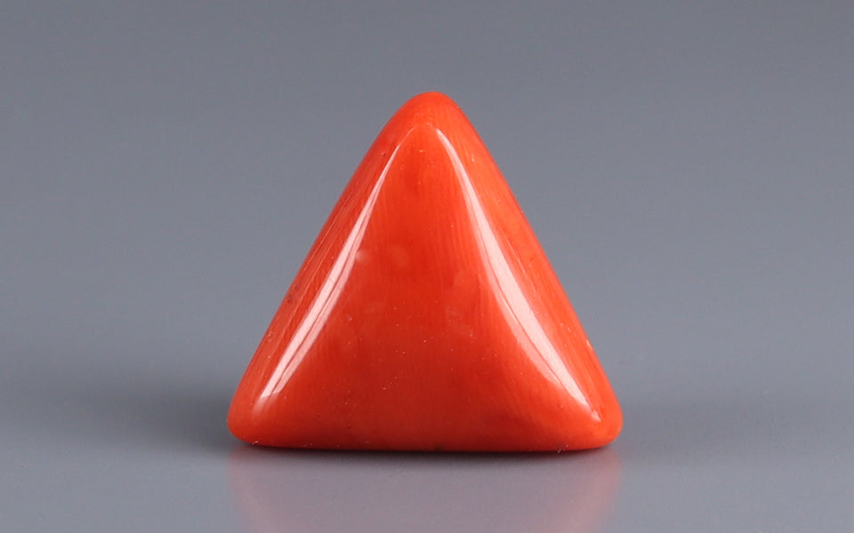 Italian Red Coral - 15.6 Carat Limited Quality TC-5062
