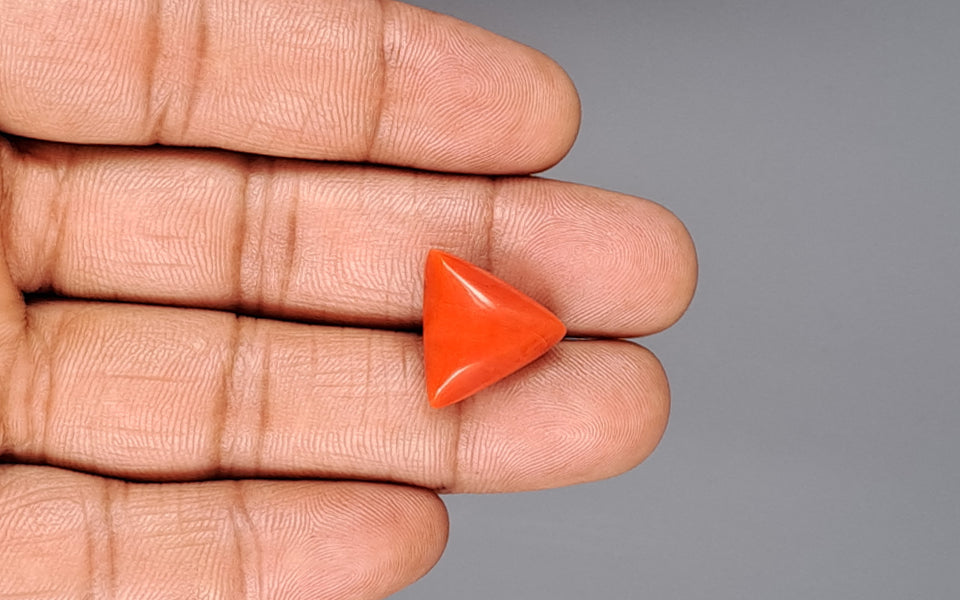 Red Coral - 13.00 Carat (14.36 Ratti - Moonga)