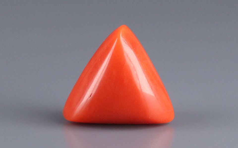 Italian Red Coral - 13.00 Carat Limited Quality TC-5063