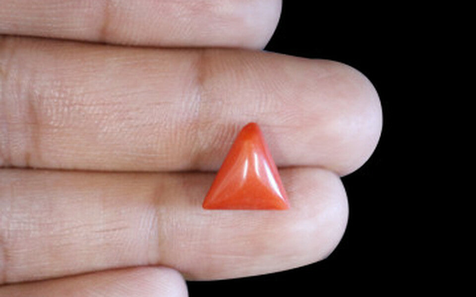 Italian Red Coral - 3.71 Carat Prime Quality TC-5077