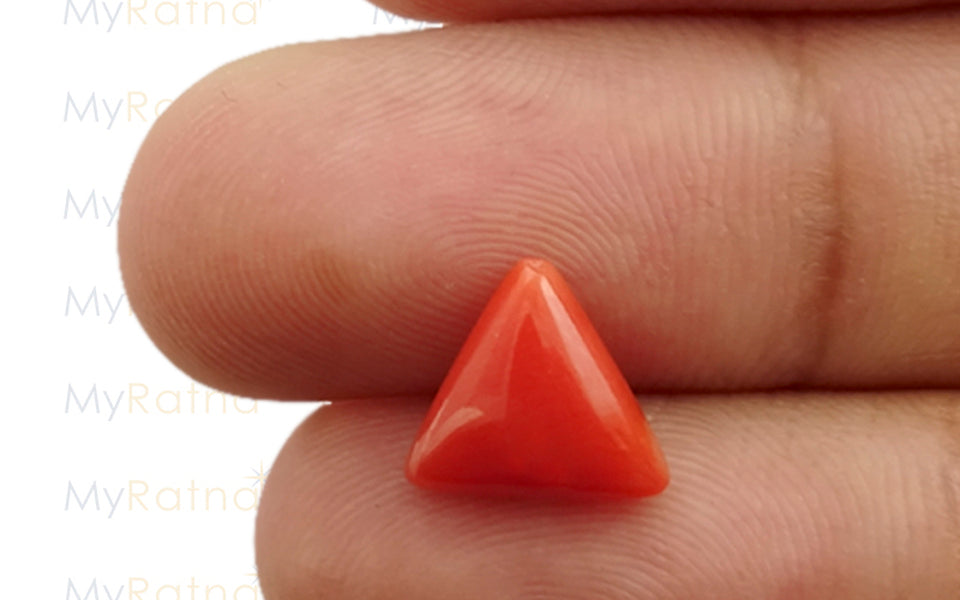 Italian Red Coral - 2.6 Carat Limited Quality TC-5102