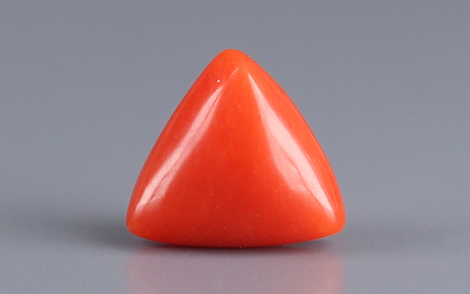 Red Coral - 2.90 Carat (3.20 Ratti - Moonga)