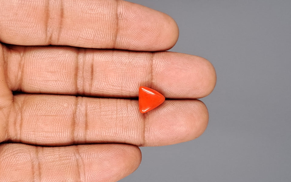 Italian Red Coral - 2.96 Carat Prime Quality TC-5129