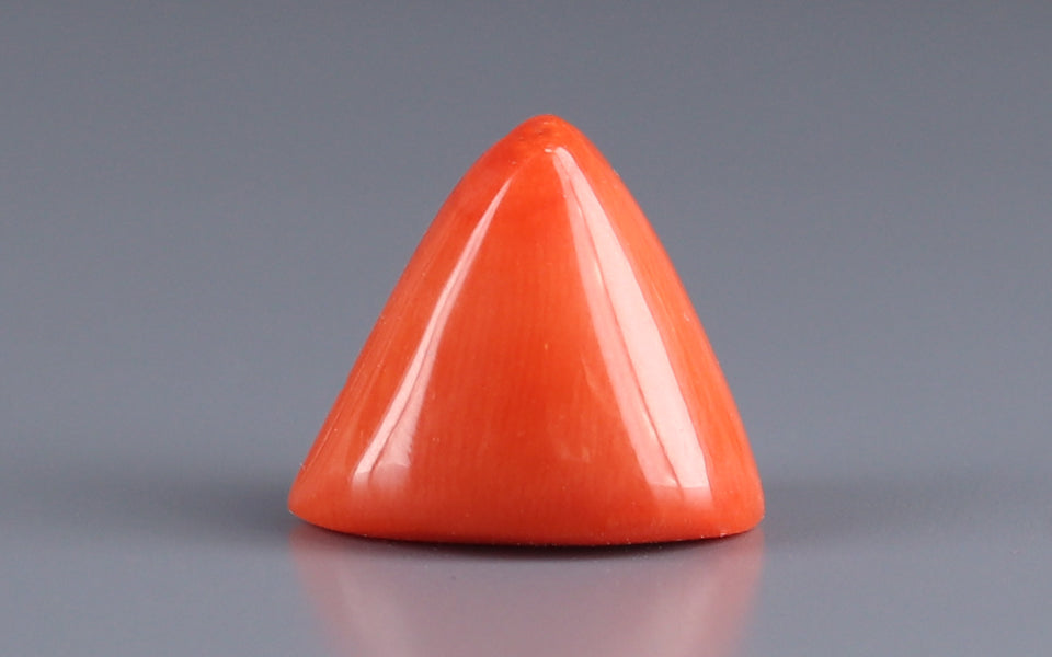 Italian Red Coral - 10.16 Carat Limited Quality TC-5131