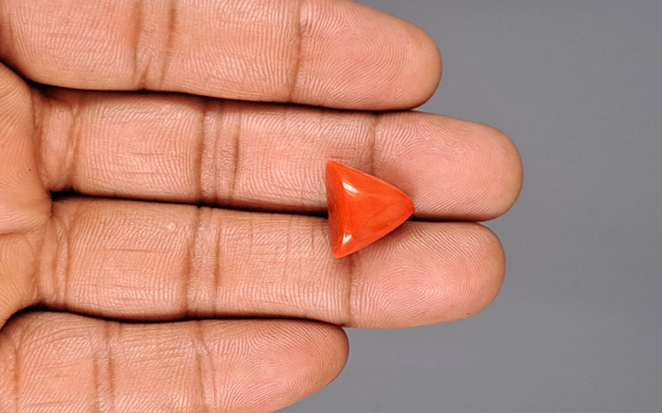 Red Coral - 10.16 Carat (11.23 Ratti - Moonga)