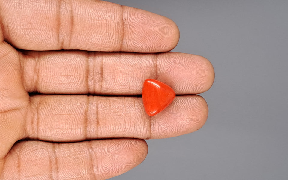 Italian Red Coral - 10.85 Carat Rare Quality TC-5133