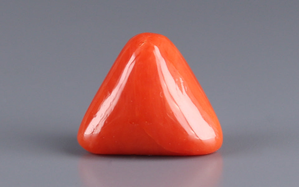 Red Coral - 8.46 Carat (9.35 Ratti - Moonga)