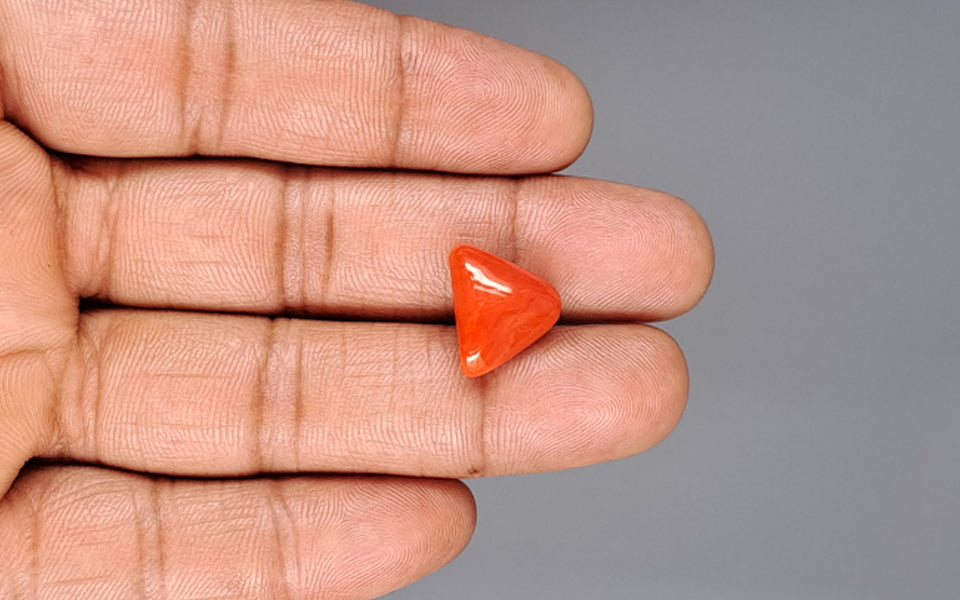 Red Coral - 8.46 Carat (9.35 Ratti - Moonga)