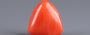 Italian Red Coral - 5.8 Carat Prime Quality TC-5154