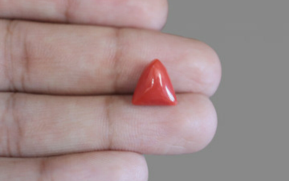 Italian Red Coral - 3.89 Carat Prime Quality TC-5174