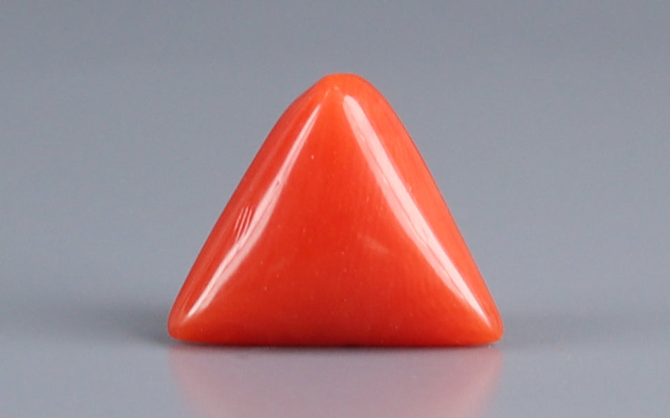 Red Coral - TC 5178 (Origin - Italy) Prime - Quality