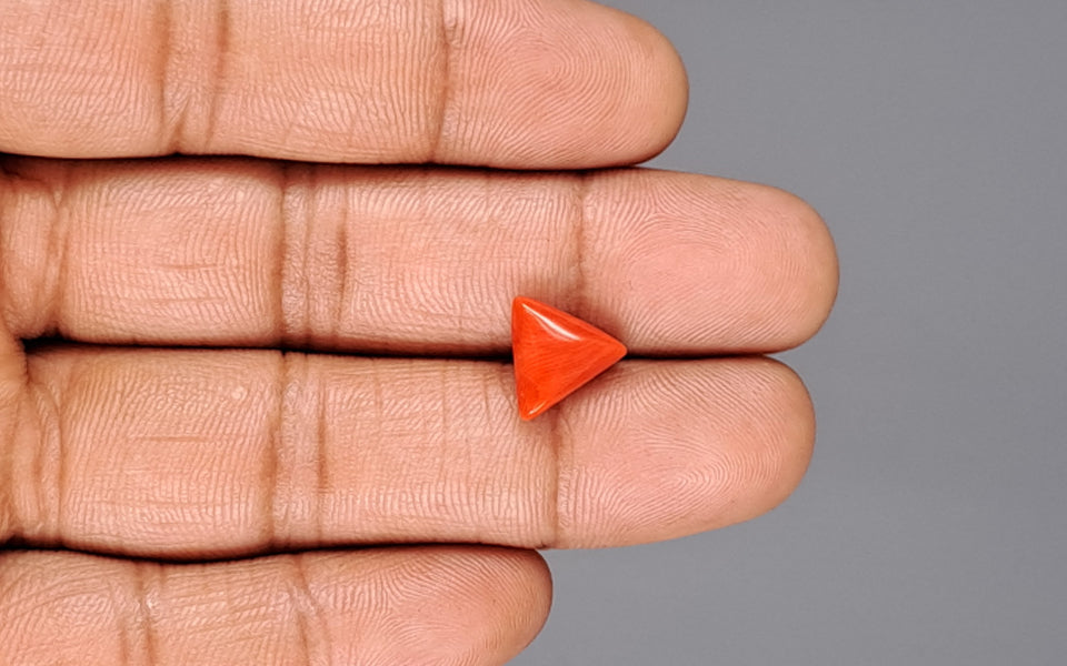 Red Coral - 3.65 Carat (4.03 Ratti - Moonga)