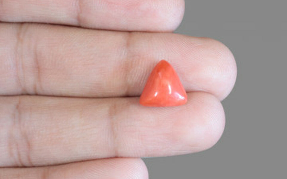 Italian Red Coral - 3.58 Carat Prime Quality TC-5184