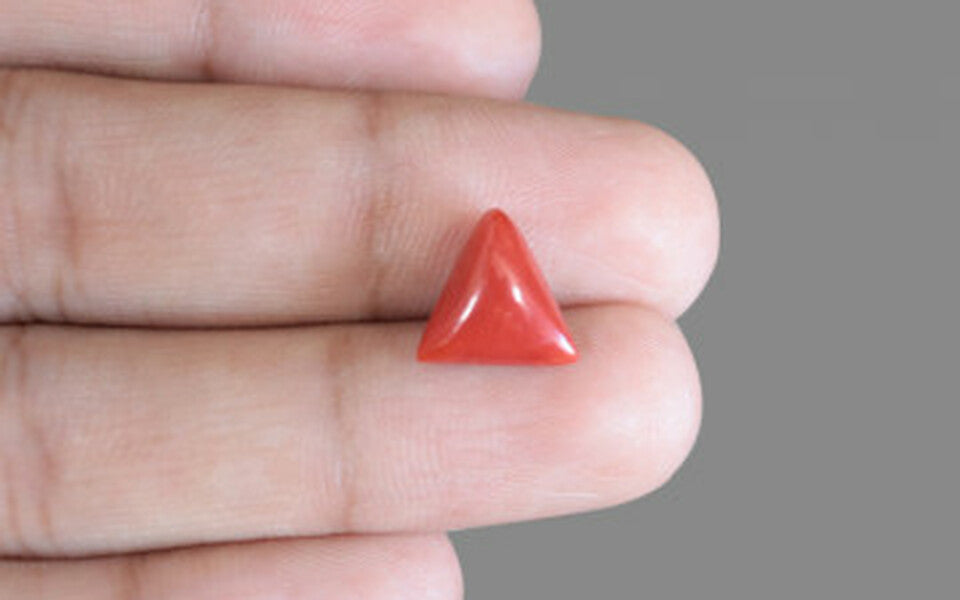 Red Coral - 3.54 Carat (3.91 Ratti - Moonga)