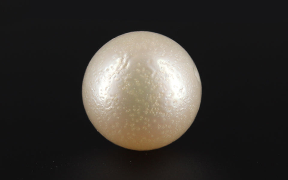 South Sea Pearl - 11.22 Carat Prime Quality SSP-8655