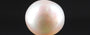 South Sea Pearl - 4.54 Carat Prime Quality SSP-8728