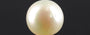 South Sea Pearl - 4.94 Carat Prime Quality SSP-8698