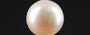 South Sea Pearl - 5.22 Carat Prime Quality SSP-8721