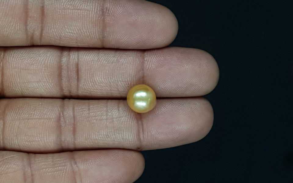 South Sea Pearl - 5.50 Carat Prime Quality SSP-8829