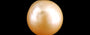 South Sea Pearl - 5.50 Carat Prime Quality SSP-8829