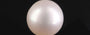 South Sea Pearl - 6.04 Carat Prime Quality SSP-8874