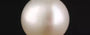 South Sea Pearl - 7.25 Carat Prime Quality SSP-8841