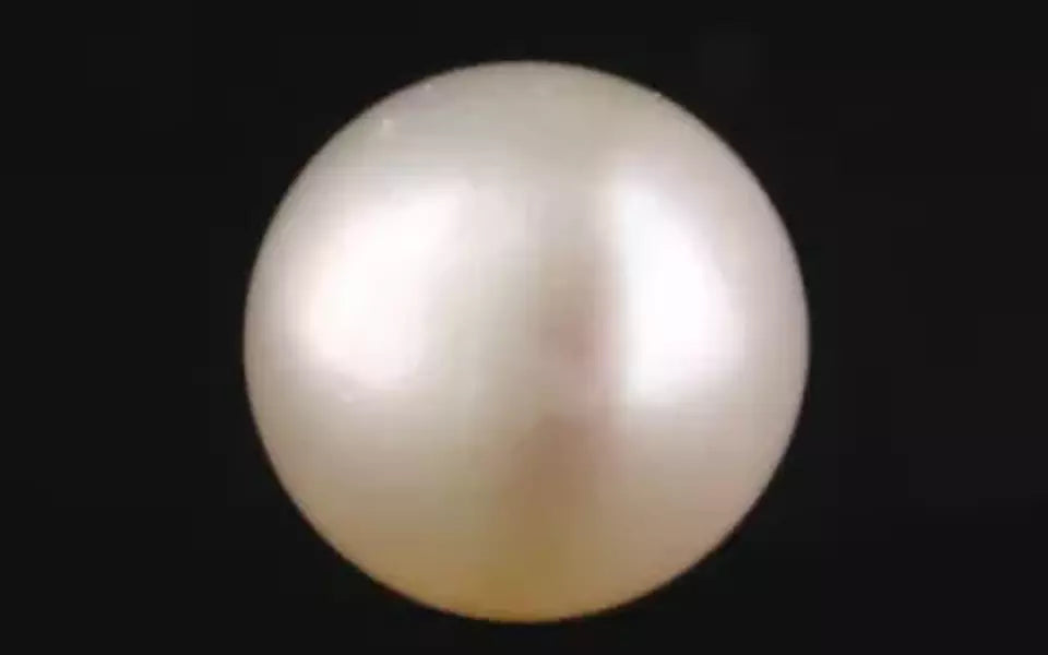 South Sea Pearl - 7.25 Carat Prime Quality SSP-8841