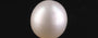 South Sea Pearl - 7.68 Carat Prime Quality SSP-8848