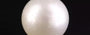 South Sea Pearl - 7.75 Carat Prime Quality SSP-8844