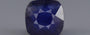 Blue Sapphire - 10.43 Carats