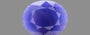 Thailand Blue Sapphire - 8.78 Carat Fine Quality BBS-9531