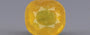 Yellow Sapphire - 3.39 Carats