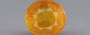 Thailand Yellow Sapphire - 4.03 Carat Prime Quality BYSGF-12087