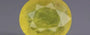 Thailand Yellow Sapphire - 4.62 Carat Prime Quality BYS-6839