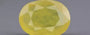 Thailand Yellow Sapphire - 4.66 Carat Prime Quality BYS-6844