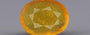 Yellow Sapphire - 4.78 Carats