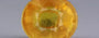 Thailand Yellow Sapphire - 4.89 Carat Prime Quality BYSGF-12077