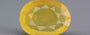 Yellow Sapphire - 5.39 Carats