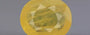 Yellow Sapphire - 5.64 Carats