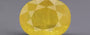 Yellow Sapphire - 5.79 Carats